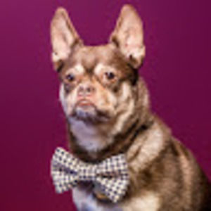 Meet your Posher, Caitlyn